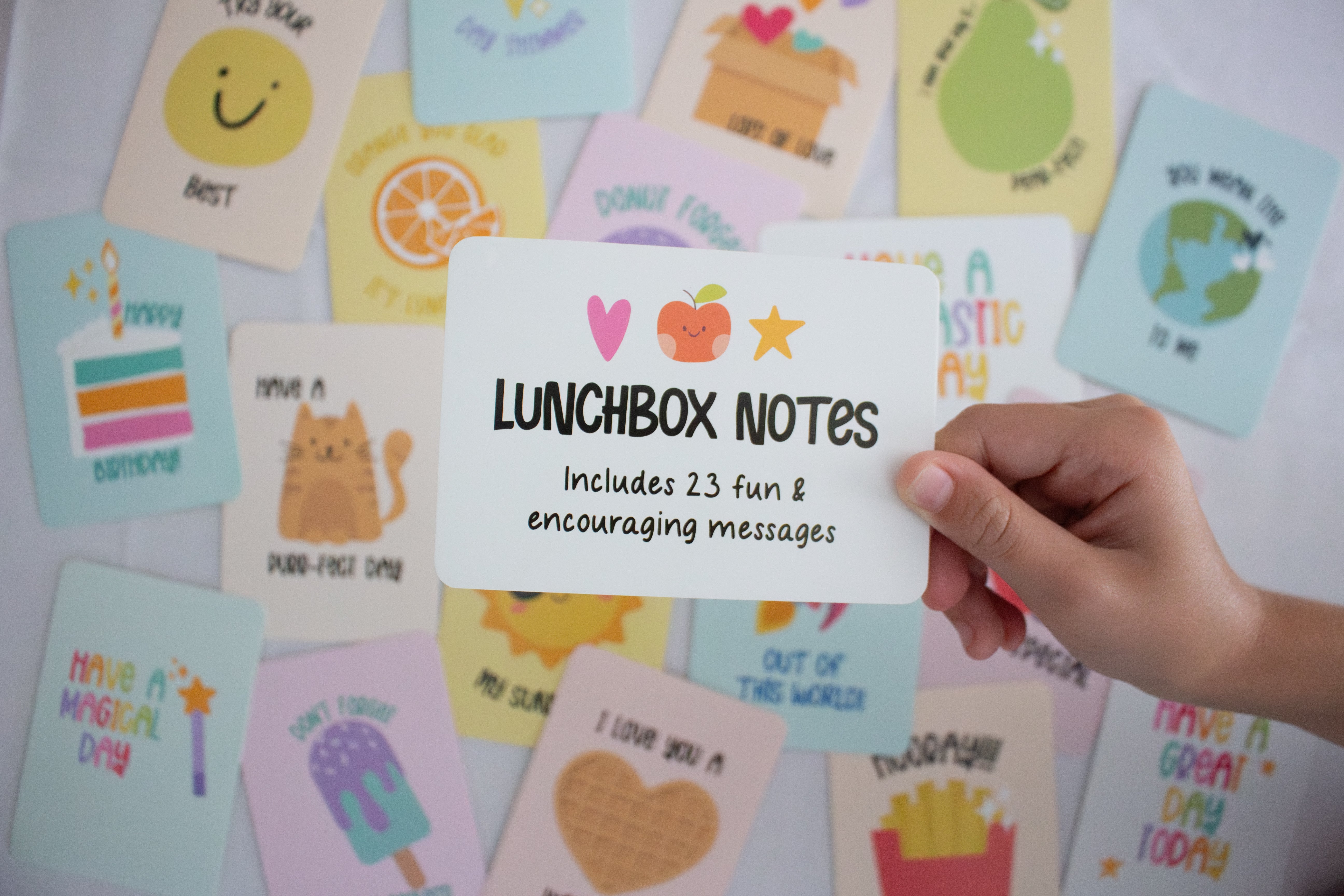 Back to School Box